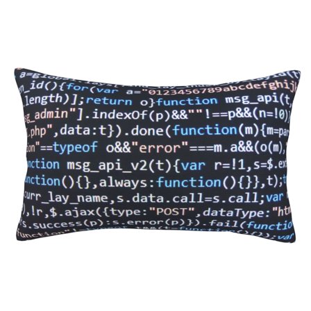 Fuzoiu Function Source Code Print Pillow Case with Hidden Zipper,Pillow Covers,Soft and Comfortable Pillowcase-16"x24"