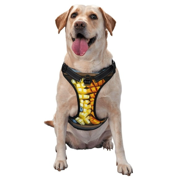 Fuzoiu Halloween Fruit Platter Print Reflective Dog Harness,Adjustable, Breathable Pet Vest,Dog Harness No Pull,No Choke Pet Vest for Small, Medium, and Large Dogs-Small