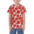 thumbnail image 1 of Fuzoiu Hand Drawn Tomatoes Print Youth Short Sleeve T-Shirt,Youth Dry-Fit Active Athletic T-Shirt,Short Sleeve Tops Tees for School, Sports, and Casual Wear, 1 of 6