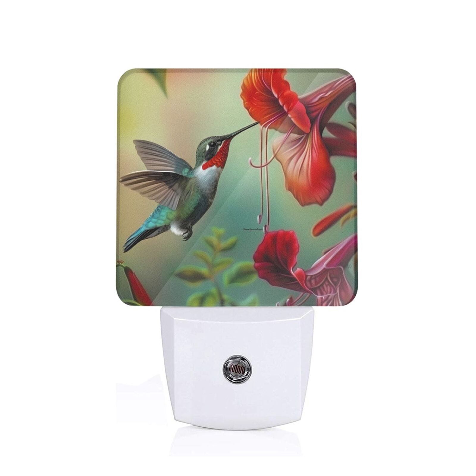 Fuzoiu Hummingbird Floral Paradise Print Dusk to Dawn LED Night Light ...