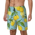 thumbnail image 1 of Fuzoiu Lemon Print Men's Swim Shorts,Quick-Dry Double-Layer Swim Trunks,Board Trunks,Beach Shorts Swimwear Bathing Suits-X-Large, 1 of 6