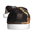 thumbnail image 1 of Fuzoiu Maple Forest Panda Print Santa Hat Christmas Hat for Adults,Santa Hats with Pompom, Unisex Xmas Holiday Hat for Christmas New Year Festive Party Supplies, 1 of 6