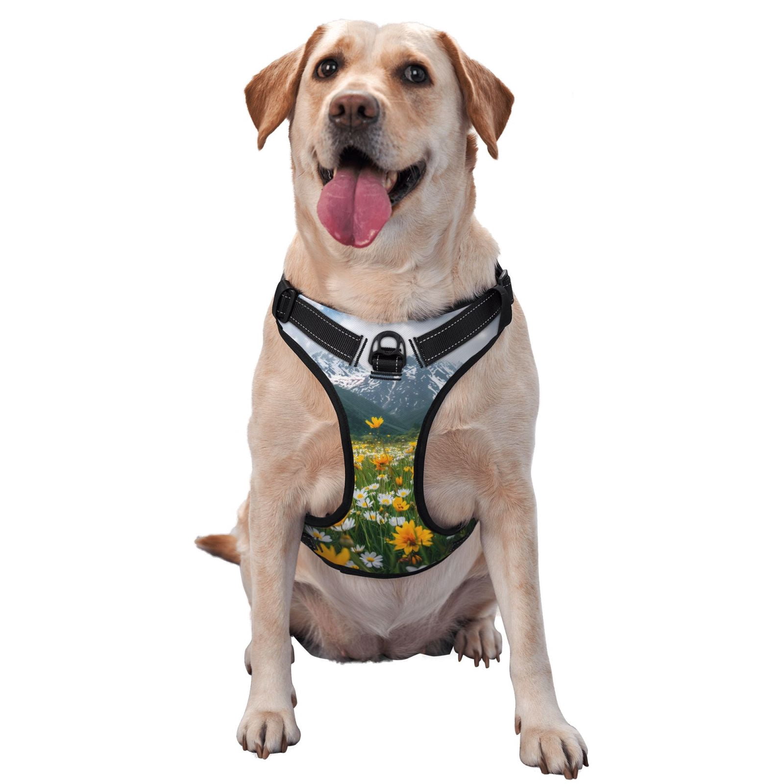 Fuzoiu Mountain Daisy Meadow Print Reflective Dog Harness,Adjustable, Breathable Pet Vest,Dog Harness No Pull,No Choke Pet Vest for Small, Medium, and Large Dogs-Small