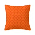 thumbnail image 1 of Fuzoiu Orange Scales Print Square Pillow Cover,Hidden Zipper Design,Luxury Square Pillow Case, Throw Pillow,Couch Cushion-12"x12", 1 of 7
