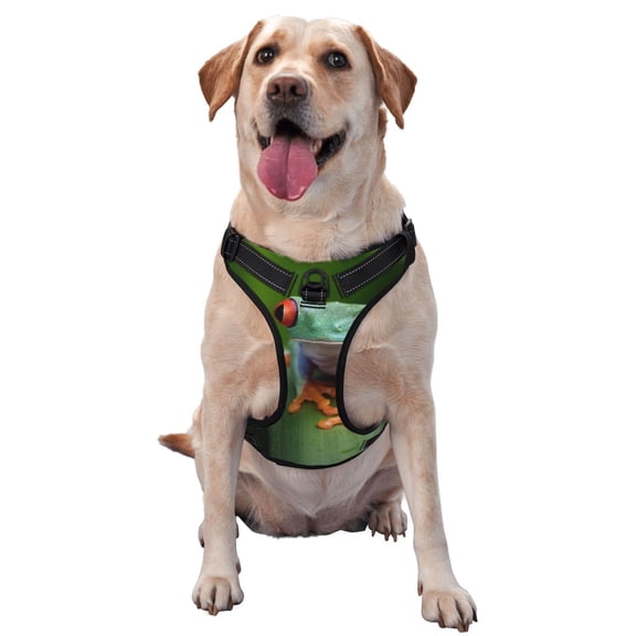 Fuzoiu Red-Eyed Tree Frog Print Reflective Dog Harness,Adjustable, Breathable Pet Vest,Dog Harness No Pull,No Choke Pet Vest for Small, Medium, and Large Dogs-Large