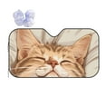 thumbnail image 1 of Fuzoiu Sleeping Cat In Blanket Print Car Windshield Sun Shade,Block Uv Rays Sunshade,Foldable Front Window Sun Visor Protector for Car,SUV,Truck-Keep Vehicle Cool-Sleeping Cat In Blanket, 1 of 8