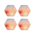 thumbnail image 1 of Fuzoiu The Sunset of Dandelion Print Leather Coasters Set,Drink Coasters Set of 4,for Tabletop Protection, Durable PVC Coasters,Home Décor and Housewarming Gift-Hexagon, 1 of 6