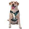 thumbnail image 1 of Fuzoiu Tropical Parrot Floral Artwork Print Reflective Dog Harness,Adjustable, Breathable Pet Vest,Dog Harness No Pull,No Choke Pet Vest for Small, Medium, and Large Dogs-Medium, 1 of 6