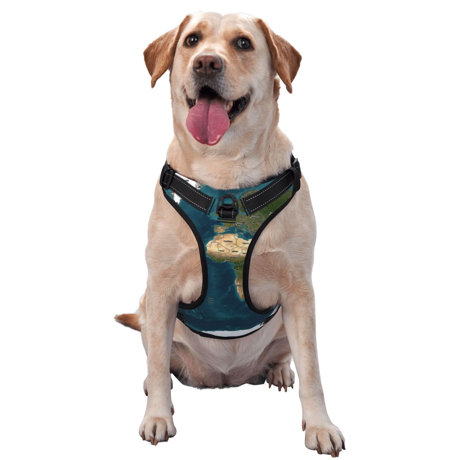 Fuzoiu World Map Print Reflective Dog Harness,Adjustable, Breathable Pet Vest,Dog Harness No Pull,No Choke Pet Vest for Small, Medium, and Large Dogs-Large