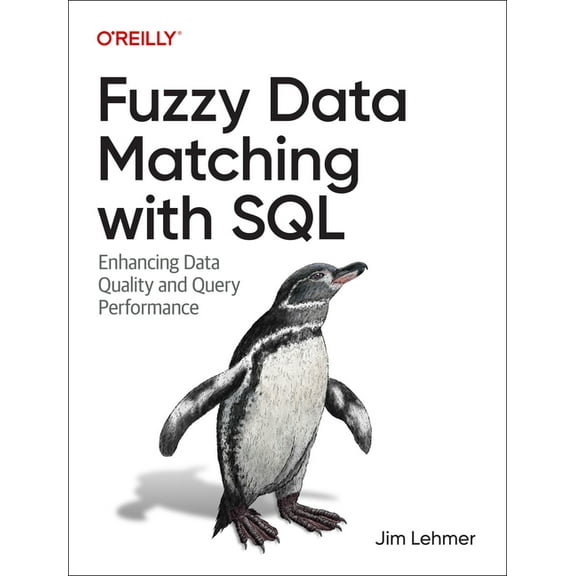 Fuzzy Data Matching with SQL: Enhancing Data Quality and Query Performance (Paperback)