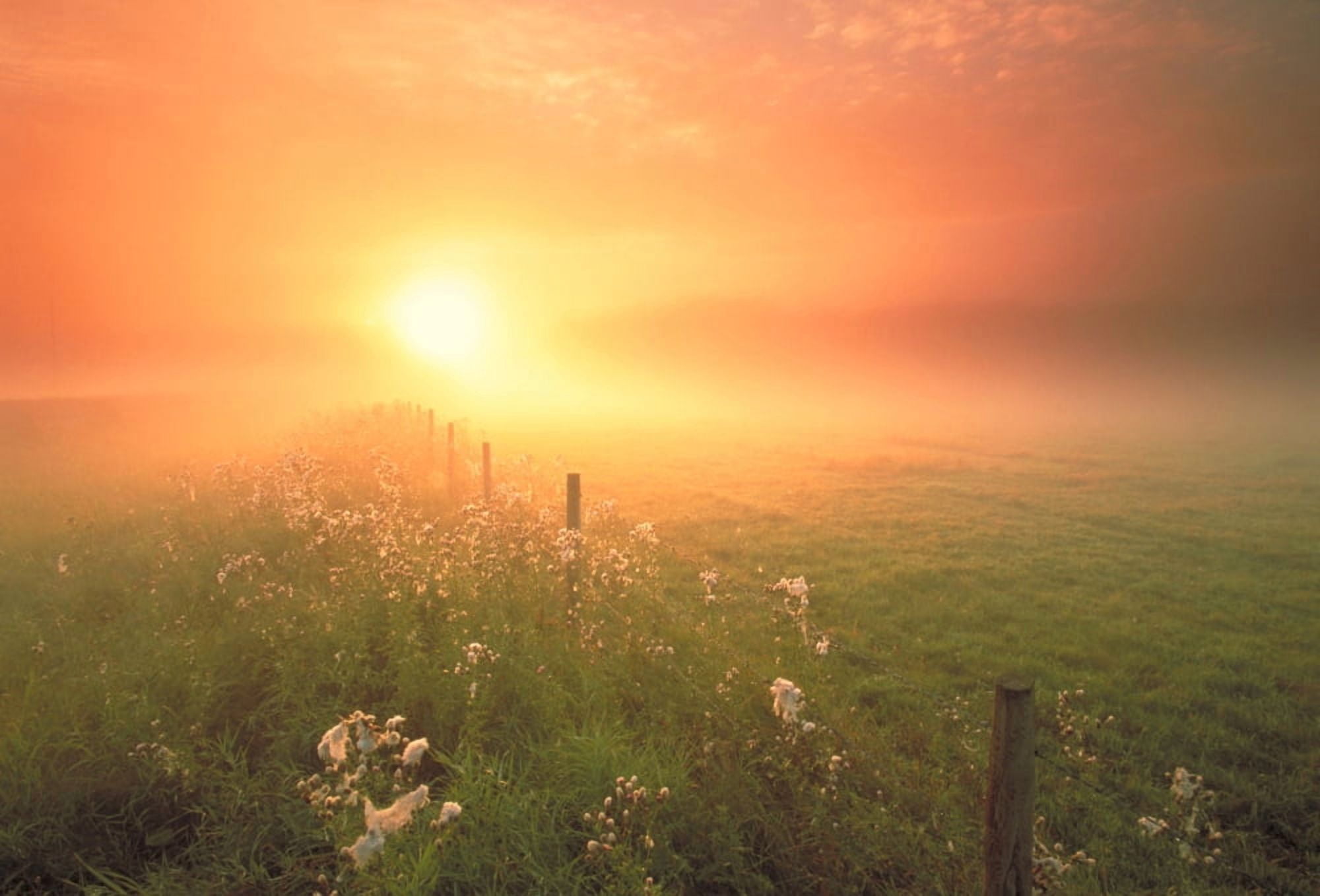 Fv0686 Darwin Wiggett Pasture With Fenceline At Sunset Alberta Canvas Art - Darwin Wiggett Design Pics (32 x 22)
