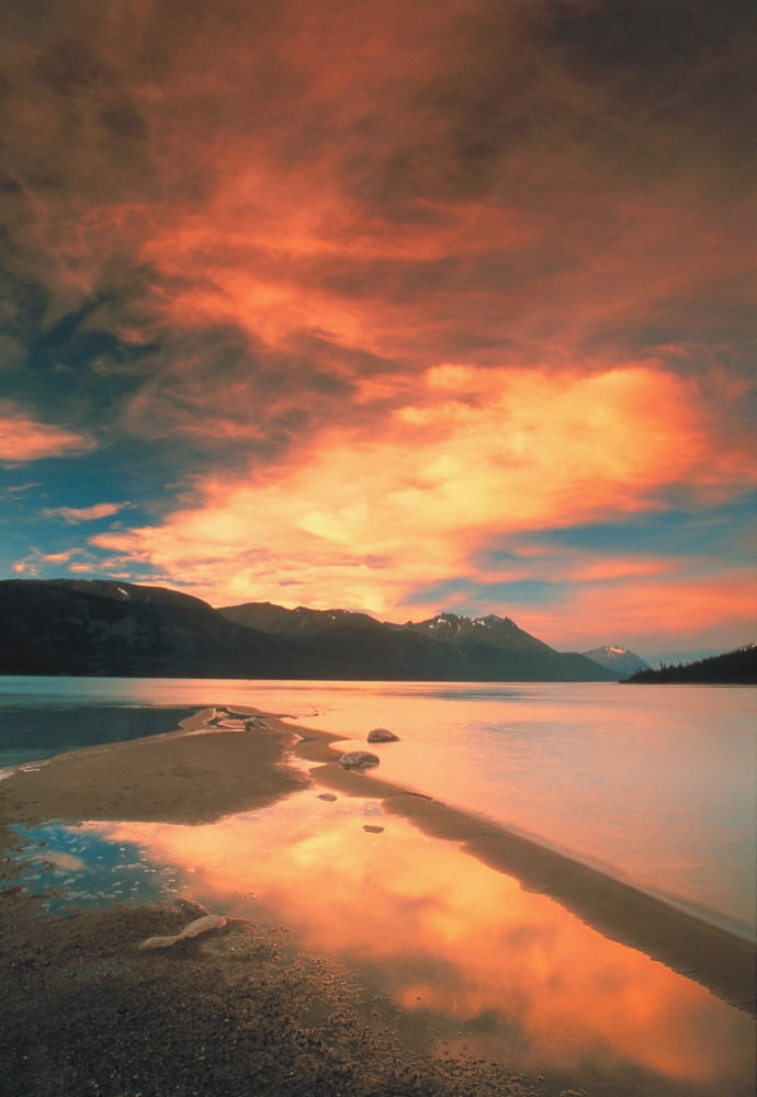 Fv0718 Darwin Wiggett Sun Setting Over Shoreline And Mountains Bennett Lake Yukon Canvas Art - Darwin Wiggett Design Pics (11 x 17)