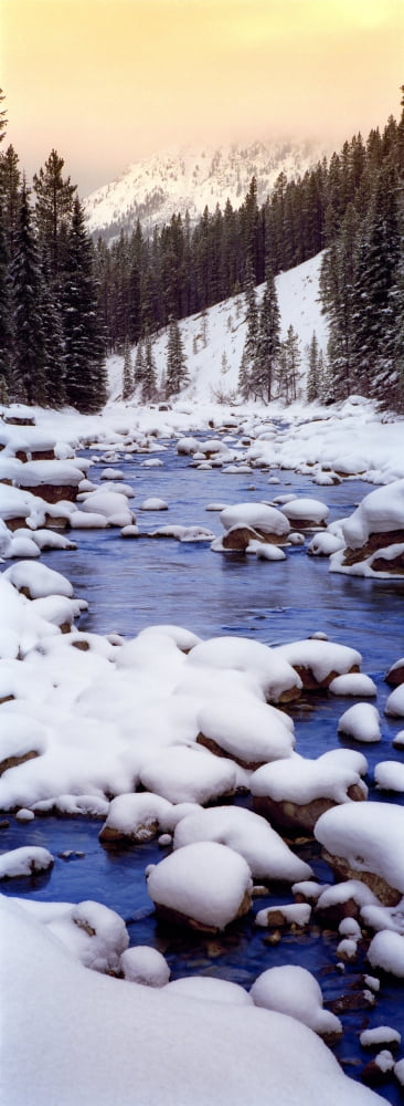 Fv2042 Natural Moments Photography Vertical Panoramic River And Mountains Canvas Art - Darwin Wiggett Design Pics (13 x 36)