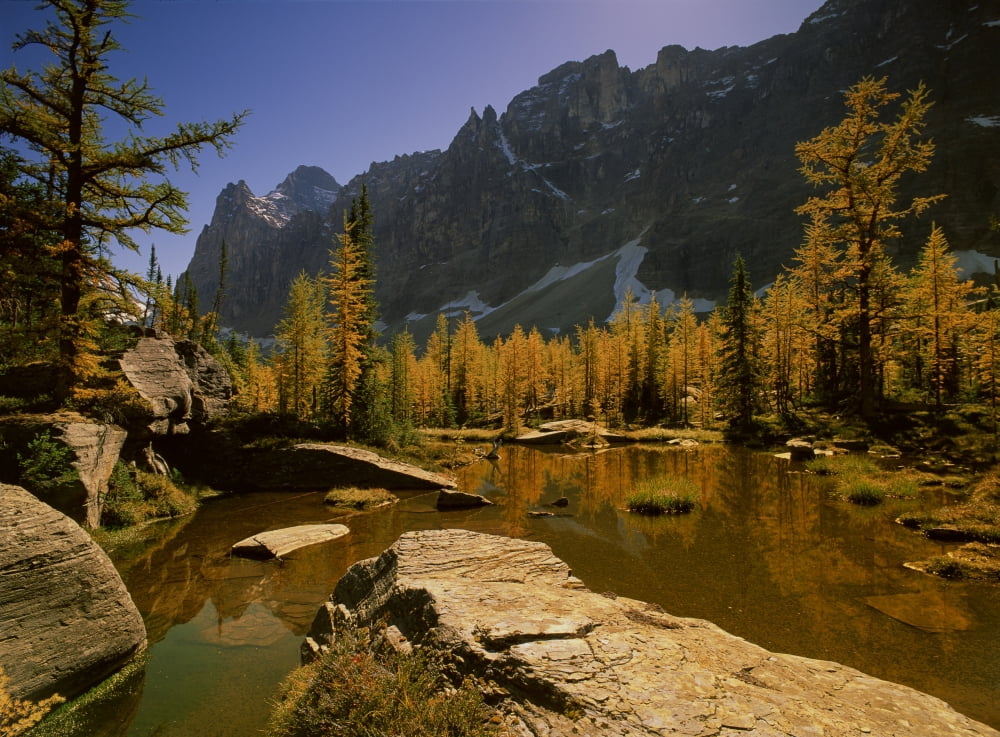Fv2260 Natural Moments Photography Pools Of Water With Mountains In The Background Opabin Terrace Pools Yoho NatPark Canvas Art - Darwin Wiggett Design Pics (17 x 12)