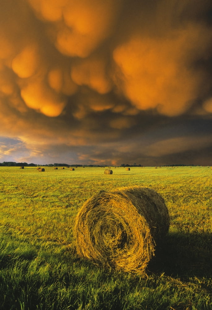 Fv3566 Natural Moments Photography Haybale And Storm Clouds Canvas Art - Darwin Wiggett Design Pics (11 x 17)