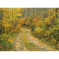 thumbnail image 1 of Fv3574, Natural Moments Photography; Road Through Forest Poster Print (18 x 13), 1 of 3