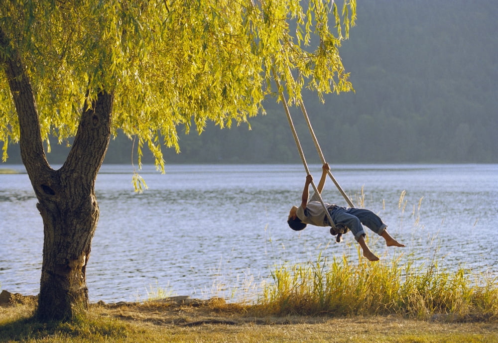 Fv3583 Natural Moments Photography Boy On Swing Canvas Art - Anita Dammer Design Pics (17 x 11)