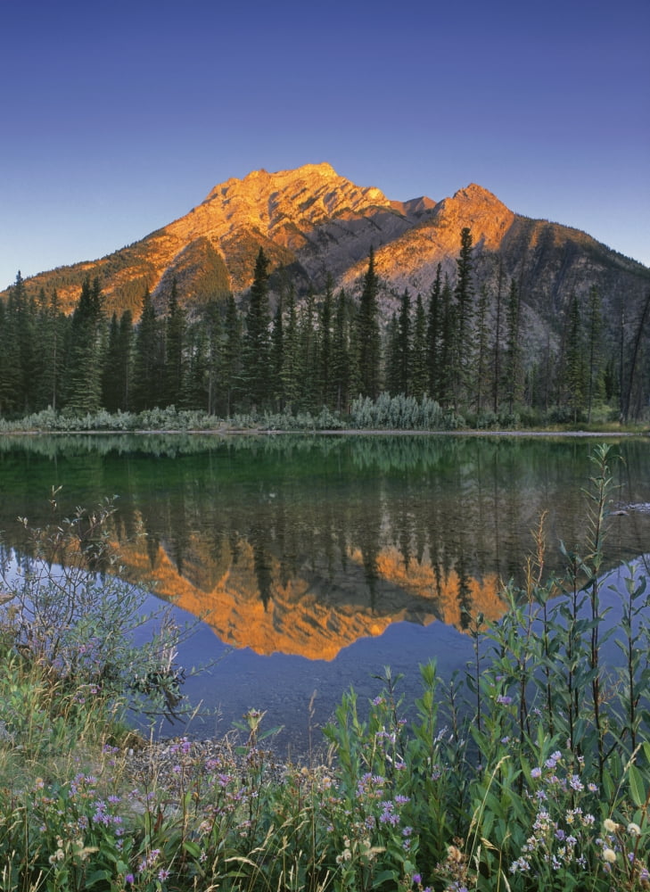 Fv3592 Natural Moments Photography Mountain Scenic Canvas Art - Darwin Wiggett Design Pics (26 x 36)