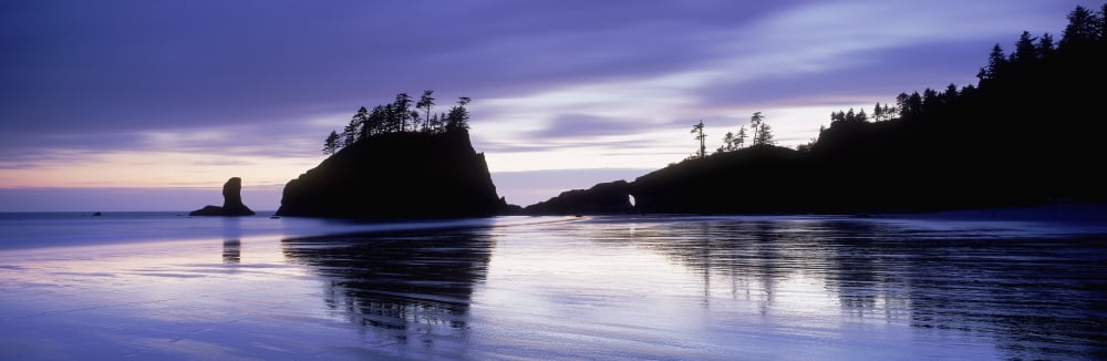 Fv5458 Ron Watts Usa Washington State Olympic National Park Second Beach Sea Stack Dusk Canvas Art - Ron Watts Design Pics (25 x 8)