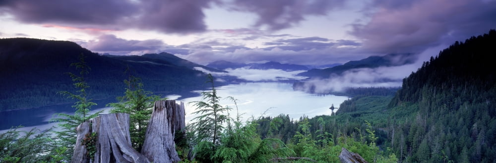 Fv5459 Ron Watts Canada British Columbia Vancouver Island Nitinat Lake Dusk Canvas Art - Ron Watts Design Pics (25 x 8)