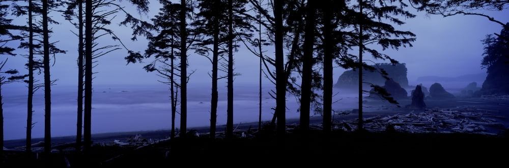 Fv5463 Ron Watts Usa Washington State Olympic National Park Ruby Beach Sea Stacks Sunset Canvas Art - Ron Watts Design Pics (36 x 12)