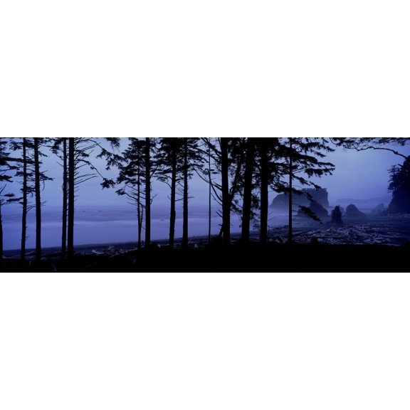 Fv5463 Ron Watts Usa Washington State Olympic National Park Ruby Beach Sea Stacks Sunset Canvas Art - Ron Watts Design Pics (36 x 12)