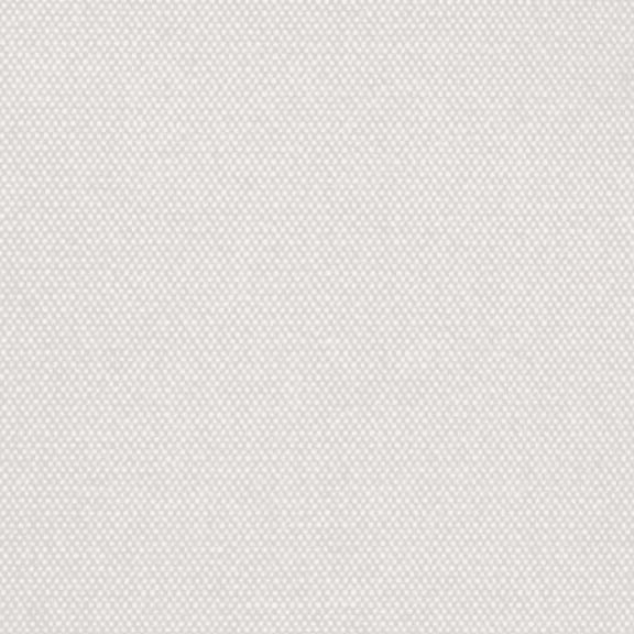 Fwd Canvas Fabric Waterproof Outdoor 60" Wide 600 Denier Many Colors Sold By The Yard (10 Yard, White)