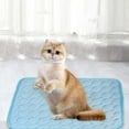 thumbnail image 1 of Fwttom Dog Cooling Mat, No Water or Refrigeration Foldable Fiber Cooling Blanket with Top Bottom Materials, Machine Washable Thin Dog Bed for Home Travel Crates Bed Floor, 1 of 7