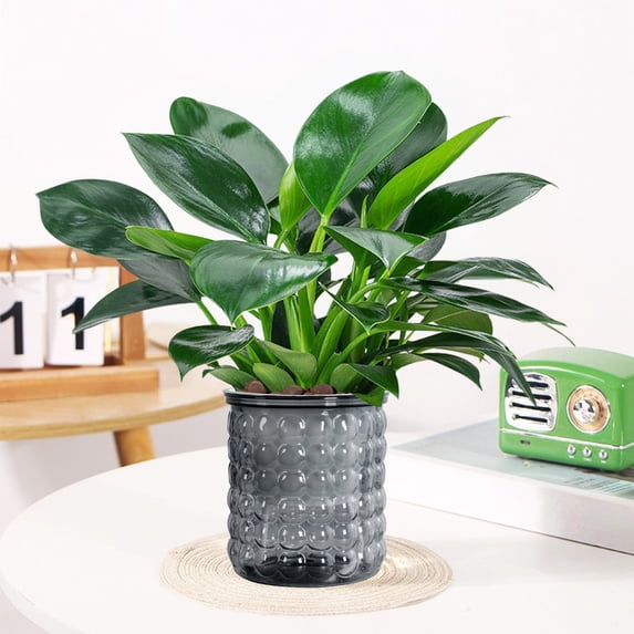 Fwttom Plant Pots, Plastic Flower Pots for Indoor Plants, Planter Container for Windowsill Balcony Home Decoration, Gray