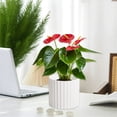 thumbnail image 1 of Fwttom Plant Pots, Plastic Flower Pots for Indoor Plants, Planter Container for Windowsill Balcony Home Decoration, White, 1 of 6