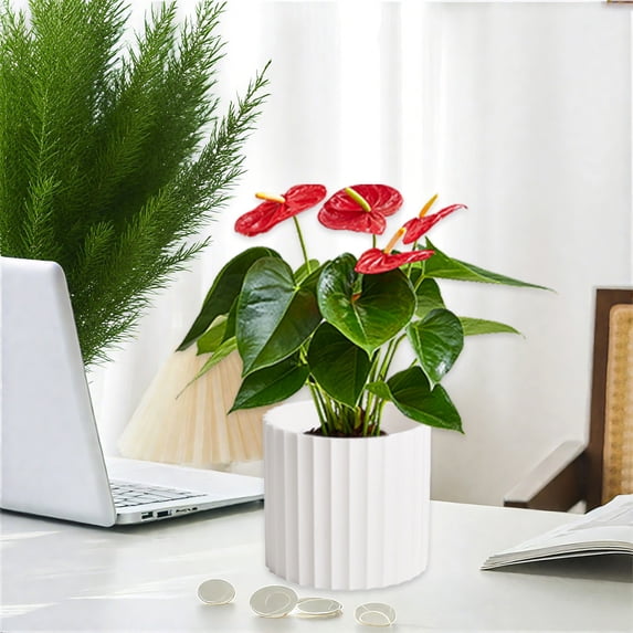 Fwttom Plant Pots, Plastic Flower Pots for Indoor Plants, Planter Container for Windowsill Balcony Home Decoration, White