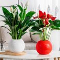 thumbnail image 1 of Fwttom Plant Pots, Plastic Self Watering Pots for Indoor Plants, Planter Container for Windowsill Balcony Home Decoration, White, 1 of 8
