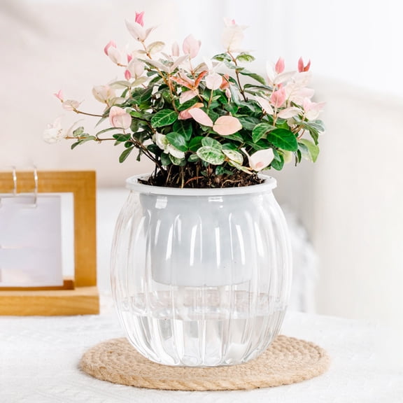Fwttom Plant Pots, Plastic Self Watering Pots for Indoor Plants, Pumpkin Shaped Planter Container for Windowsill Balcony Home Decoration, Clear