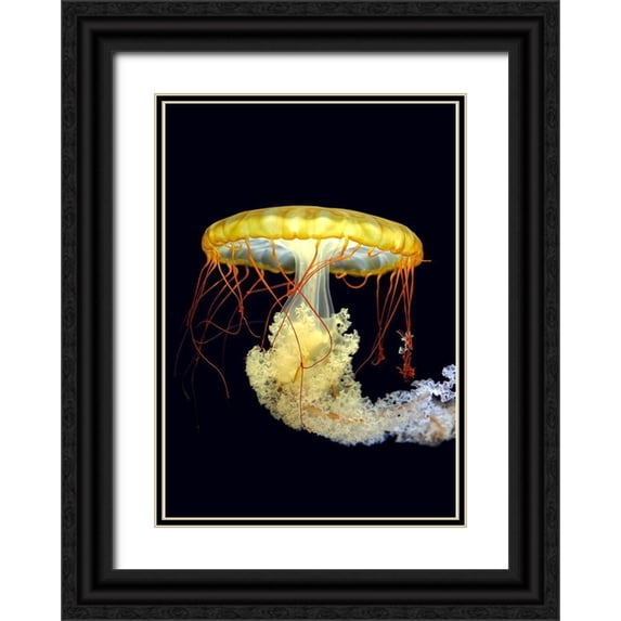Fyb 24x32 Black Ornate Wood Framed with Double Matting Museum Art Print Titled - ***