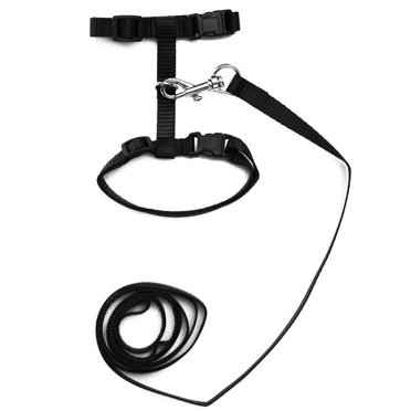 Picture Idea: Tetou Cat Harness And Leash Set For Walking Adjustable Vest