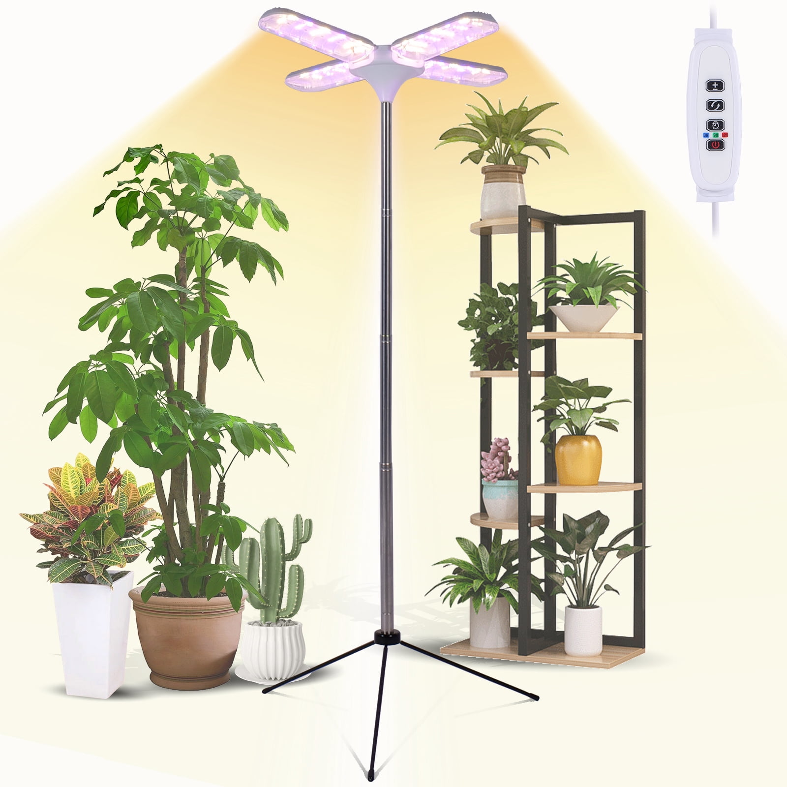 plant hanger wood Large Vertical Air Plant Hanger Combo, Air Plant Display, Large Wave,