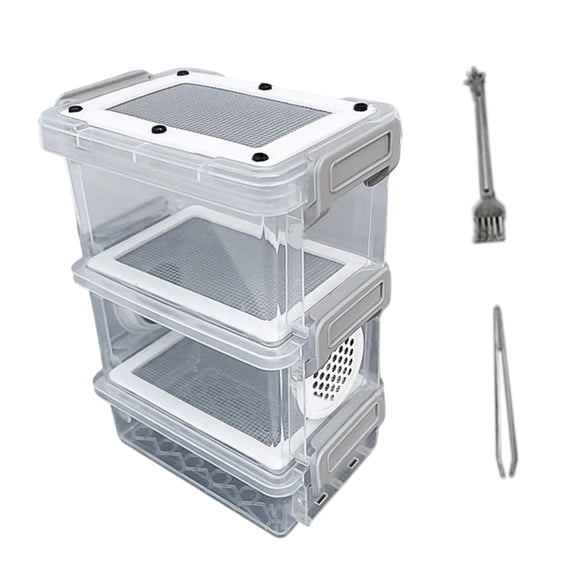 Fzaqwen Cockroach Feeding Box, Transparent House, Comfortable, Breeding Box, See-through Style B