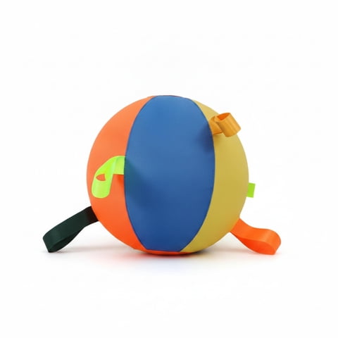 Fzaqwen Interactive Ball Inflatable Dog Toy Pet Ball Bite-resistant Toy Exercise Ball with Durable Oxford Cloth Exterior and Reinforced PVC Bladder Suitable for Medium Dogs Large Dogs Small 25CM
