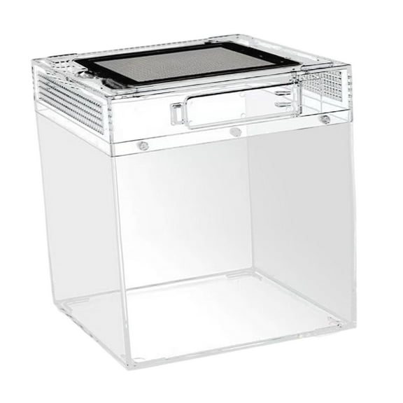 Fzaqwen Reptile Terrarium Breeding Box Transparent Reptile Tank Habitat for Horned Frogs 20cmx20cmx28cm