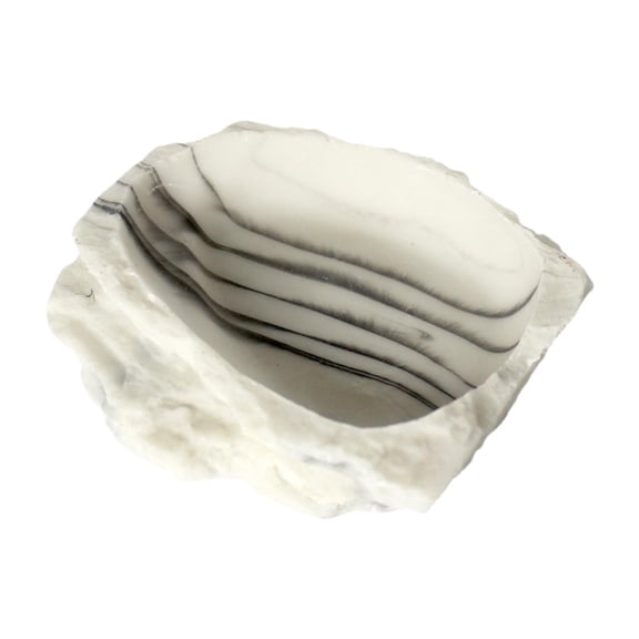 Fzaqwen Reptile Water Dish Resin Reptile Feeder for Leopard Gecko Chameleon Tortoise