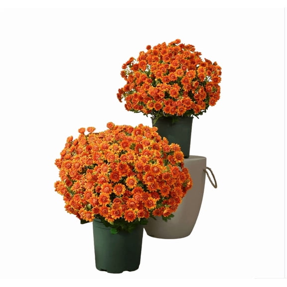 Fzsteel UV-Resistant Sunset Artificial Flowers – Outdoor and Indoor Decor, Fade-Resistant and No Water Needed, 5 Bouquets Set