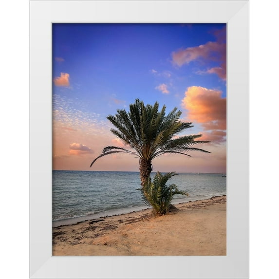 G Alfidi, Saleem 12x14 White Modern Wood Framed Museum Art Print Titled - Palm Beach