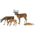 thumbnail image 1 of G BUCK AND FAMILY, 1 of 2