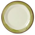 thumbnail image 1 of G.E.T. 10.5" Green / Ivory Heavy-Duty Wide Rim Melamine Plastic Dinner Plate (Set of 4), 1 of 2