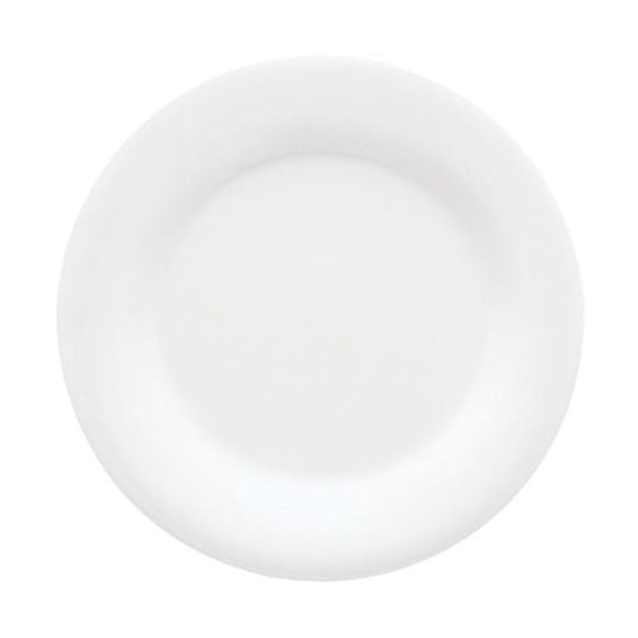 G.E.T. 10.5" Heavy-Duty Wide Rim Melamine Plastic Dinner Plate (Set of 12)