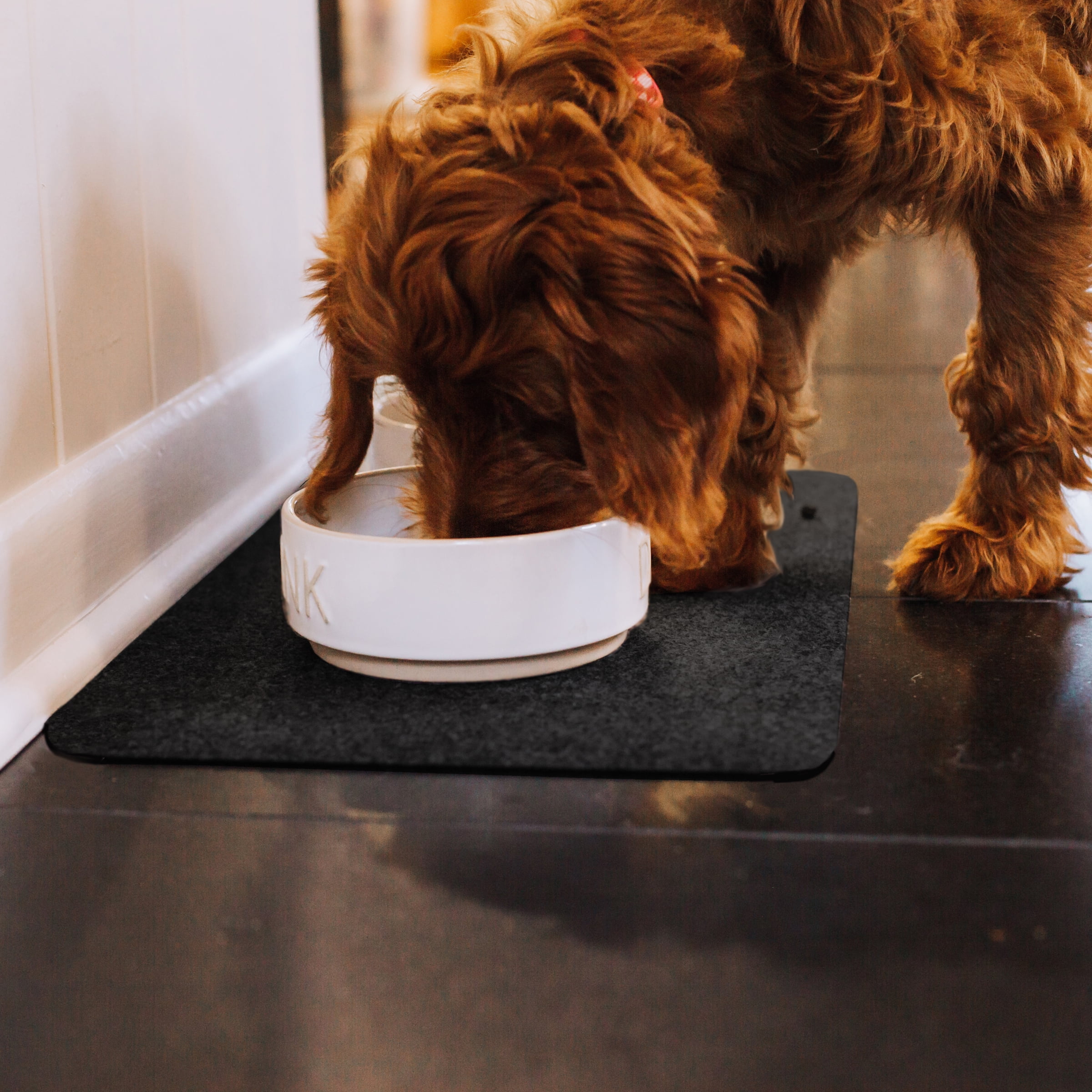 G-Floor Drip & Dry 12" x 20" Absorbent Pet Placemat, Grey (6 Pack)
