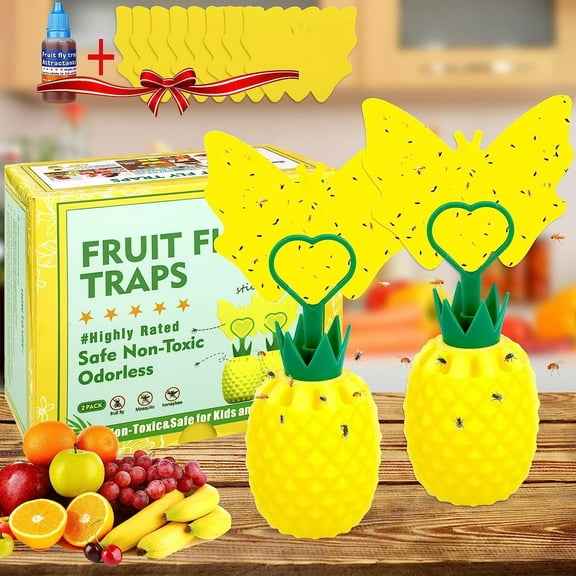 JahyShow Fruit Fly Traps with Sticky Pads, Fruit Flies Gnat for Plant Indoor Outdoor Yellow Gnat Sticky