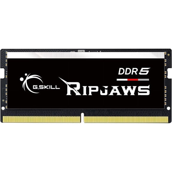 G.SKILL Ripjaws SO-DIMM 16GB 262-Pin DDR5 SO-DIMM DDR5 4800 (PC4 38400) Laptop Memory Model F5-4800S4039A16GX1-RS