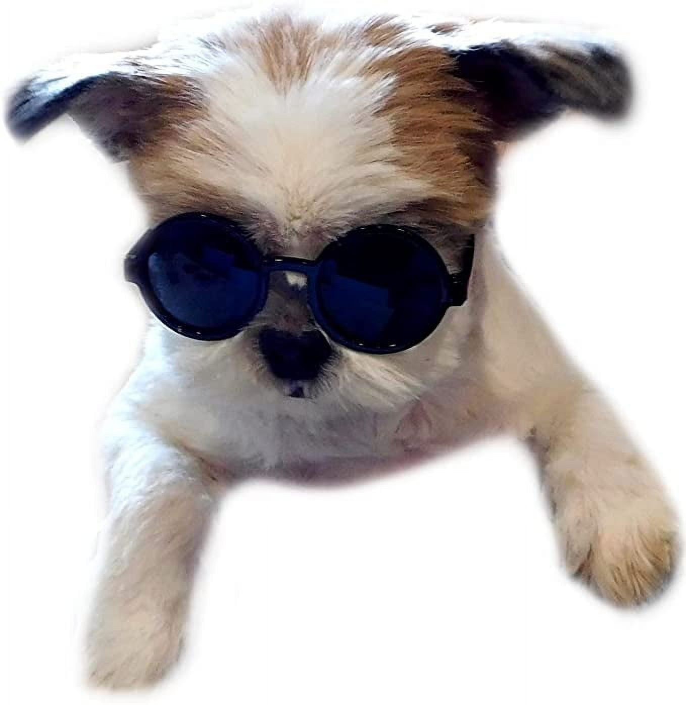 Dog clout goggles online