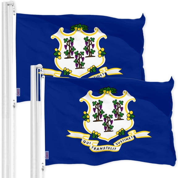 G128 2 Pack: Connecticut CT State Flag | 3x5 Ft | Printed 150D Polyester - Indoor/Outdoor, Vibrant Colors, Brass Grommets, Quality Polyester, Much Thicker More Durable Than 100D 75D Polyester